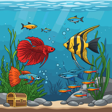 A vibrant underwater scene showcasing a variety of colorful freshwater aquarium fish swimming amongst aquatic plants and rocks, with a treasure chest at the bottom.
