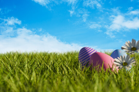 Easter background. Colorful easter eggs in green grass meadow with daisy flower closeup and blue sky. Spring nature banner design.