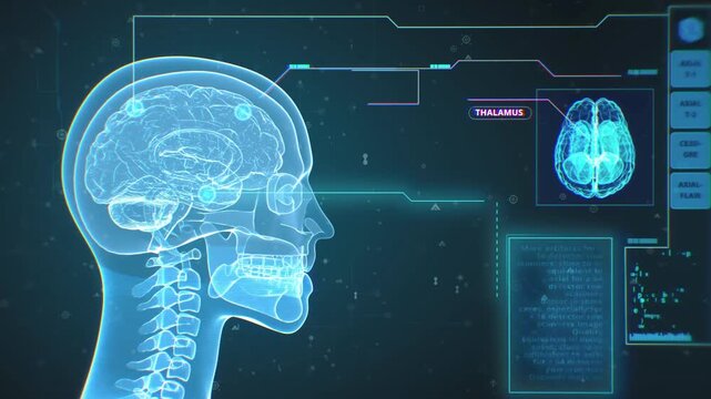 Digital of a blue human brain x-ray featuring a glowing data network pattern and engineering blueprint lines to symbolize the power of science and communication technology