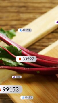 Vertical video: Small bubble appearing and spawning badges over beets on board with counts for food