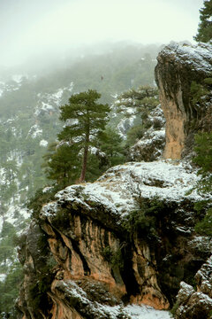 Estrecho de Perales nevando, en el parque natural de Cazorla, Segura y Las Villas.