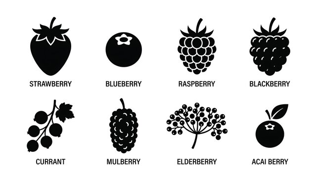 Variety of Berries Fruit Icons.