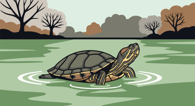 A turtle swims in calm water with trees in the background