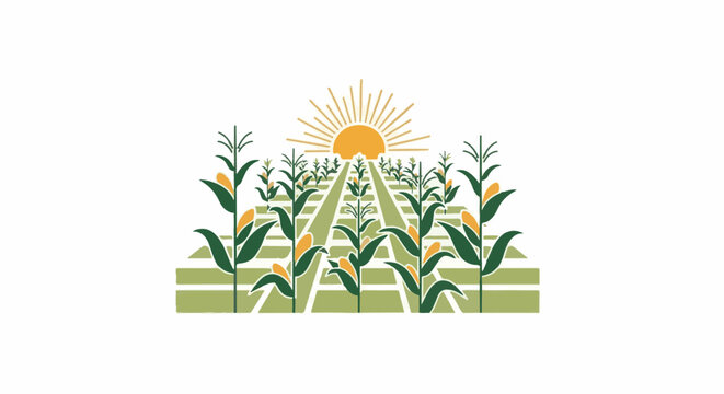 Stylized sun shining over a lush cornfield with rows of ripening crops