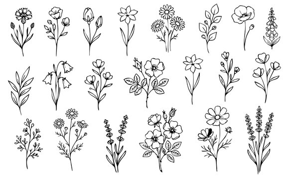 Hand Drawn Floral Line Art Set Minimal Flower Vector Collection