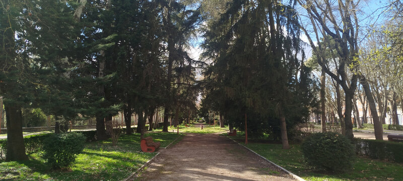 Sendero sombreado en un parque p&uacute;blico rodeado de pinos altos y vegetaci&oacute;n bajo la luz del sol en Burgos, Espa&ntilde;a