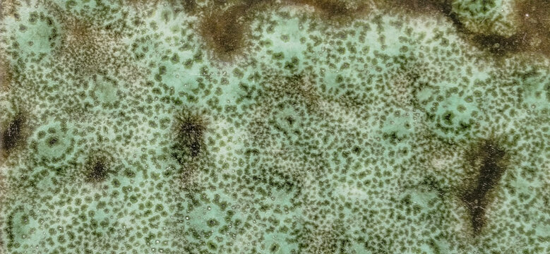 Vista de cerca de una superficie de m&aacute;rmol con motas y poros naturales en tonos verde menta y marr&oacute;n