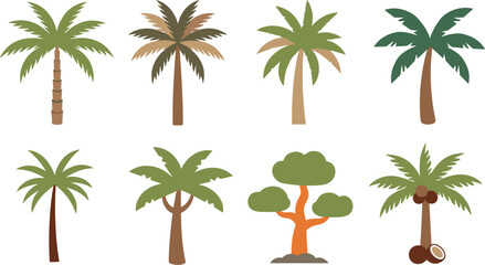 Obraz premium Palm tree vector collection with tropical trees coconut plants and exotic nature elements flat design summer landscape icons isolated on white background