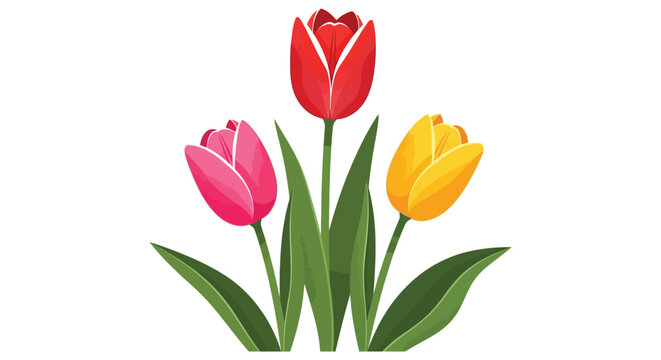 Colorful illustration of three vibrant tulips in red, pink, and yellow hues with green leaves