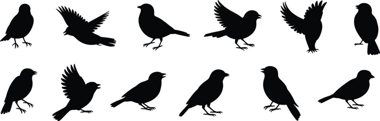 Fototapeta premium Set of bird silhouettes in different poses isolated on white background, flying and sitting birds collection, vector illustration for wildlife, nature, and design