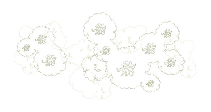 Trees for urban planning and architectural plans. Outline vector for landscape design and exterior entourage.