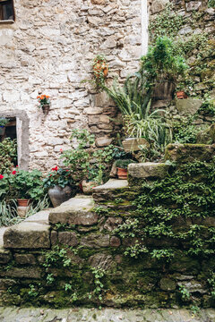 View of a charming stone corner with moss-covered steps and lush potted plants decorating a rustic facade in the medieval village of Apricale, Liguria, Italy