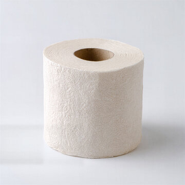 Toilet paper roll standing on a white background