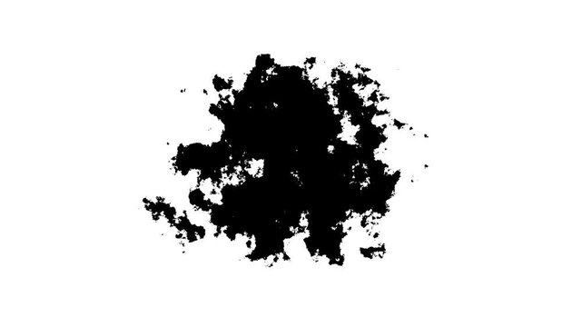 Transitions of black expanding paint stains on white backdrop Grunge Ink sprea .Ink Drops Transition on Black Background 4k Footage Ink Footage Transition White Ink Drops Falling on Black Background. 