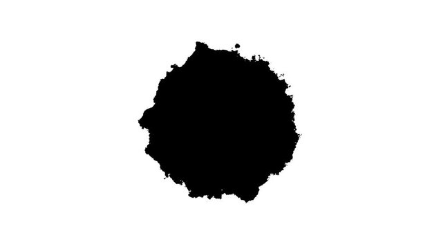 Transitions of black expanding paint stains on white backdrop Grunge Ink sprea .Ink Drops Transition on Black Background 4k Footage Ink Footage Transition White Ink Drops Falling on Black Background. 