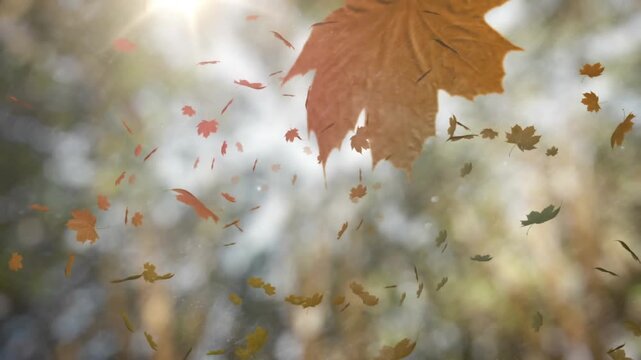 Animation of falling leaves over blurred low angle view of trees against sun and sky