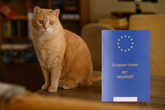 A pet passport is a document for a cat, dog, or other animal. A pet passport