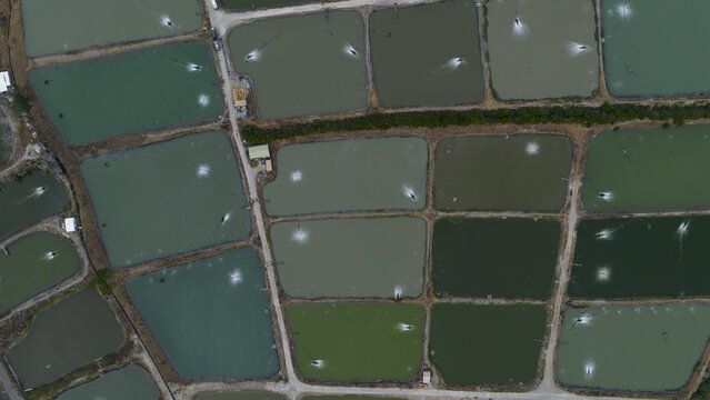Aerial view of shrimp farms with rectangular ponds and water aerators creating white splashes in Kaohsiung City, Taiwan.