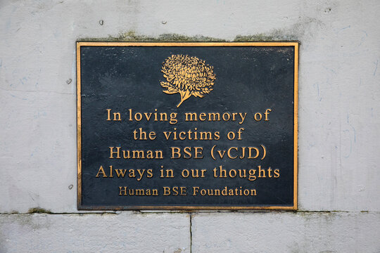 Victims of Human BSE Plaque on Albert Embankment in London, UK