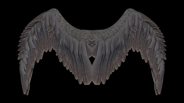 Dark Feathered Angel Wings Spread Open Against Black Background