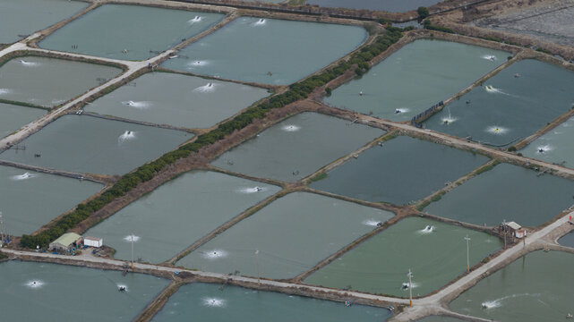 Aerial view of rectangular shrimp farm ponds with active water aerators and narrow dirt roads in Kaohsiung City, Taiwan.