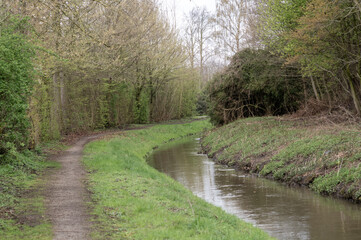 Fototapeta premium Borken, NRW, Germany, River Aa Winding path alongside riverwith bordering trees.