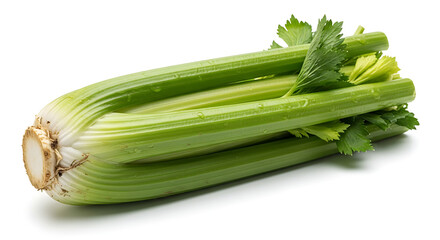 Obraz premium A bunch of fresh green celery stalks on a white background