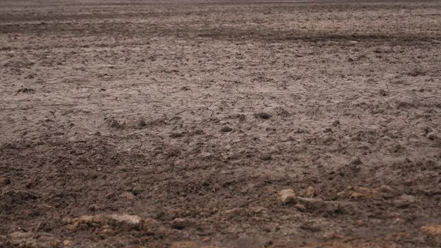 Smooth gimbal shot of fertile soil on an agricultural field in early spring, highlighting earthy textures and parallel camera movement, ideal for farming and seasonal content