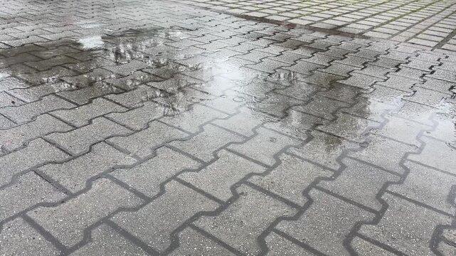 Rain drops falling into a puddle on asphalt pavement