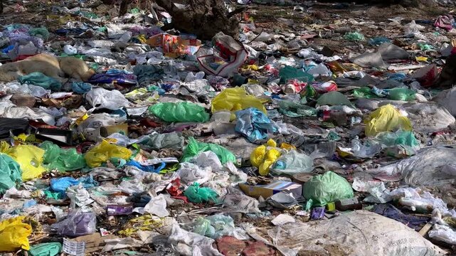 Trash pollution crisis harming earth through water pollution air pollution plastic polythene diapers waste destroying environment threatening health ecosystems future generations worldwide