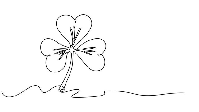 Three leaves clover continuous one line drawing animated video. Irish leaf. Saint Patrick's Day symbol animation illustration, Self animated minimalist, single continuous line drawing of a clover leaf