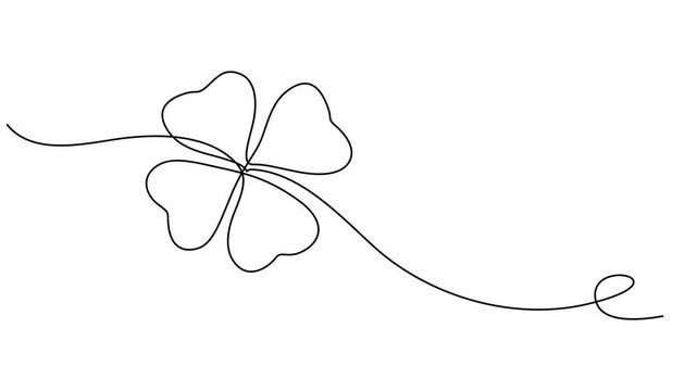 Three leaves clover continuous one line drawing animated video. Irish leaf. Saint Patrick's Day symbol animation illustration, Self animated minimalist, single continuous line drawing of a clover leaf