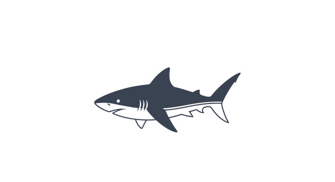 Shark illustration with sharp teeth.