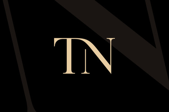 TN or NT letter logo icon design. Classic style luxury initials monogram.
