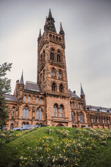 Obraz premium University Of Glasgow Tower Above Daffodil Covered Hill