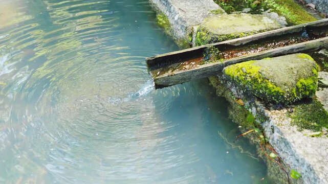 苔むした水路に流れ落ちる水と広がる波紋の風景