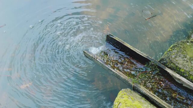 苔むした水路に流れ落ちる水と広がる波紋の風景