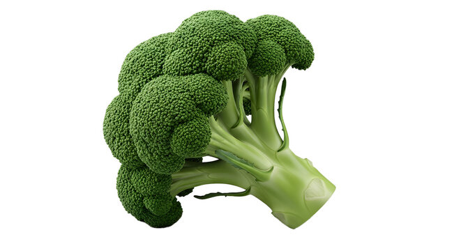 A vibrant green broccoli crown against a dark background