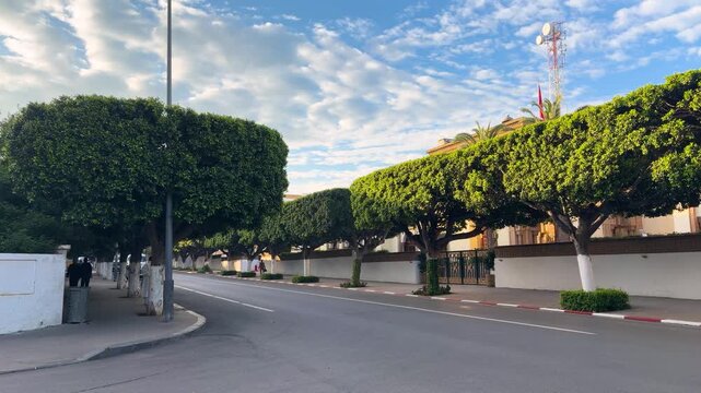 Street scene in the capital city of Rabat with white minibuses driving past trimmed ficus trees. Typical Morocco urban landscape featuring white buildings and decorative metal gates. 