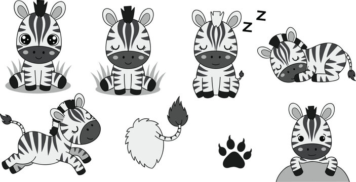 Cute Black and White Zebra Cartoon Set Featuring Playful and Sleeping Zebras with Grass and Paw Prints for Kids' Learning and Activity Books