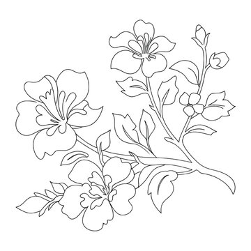 Intricate black and white illustration of delicate branching patterns resembling a tree or plant