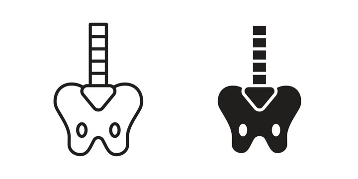 Pelvis icon Line Design Vector Illustration. Solid Black icons