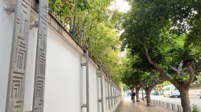 Street view in Rabat with traditional Moroccan patterns on a white wall. Bamboo grows behind the fence along a quiet city road. Ficus trees line the sidewalk providing shade for the street.