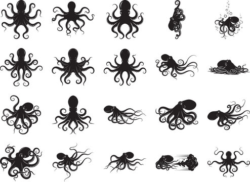 Black Octopus Silhouette Bundle