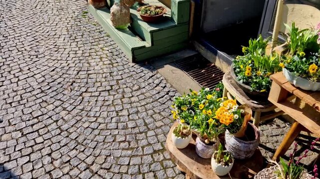 outdoor exhibition of floristry or gardening with spring decorations. Assortment of various types of potted flowers, spring bulbs daffodils arrangements containers. Decorations are placed wooden palle