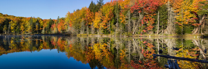 Fototapeta premium 64776-010.20 Fall Color at small lake or pond Alger county in the Upper Peninsula, MI