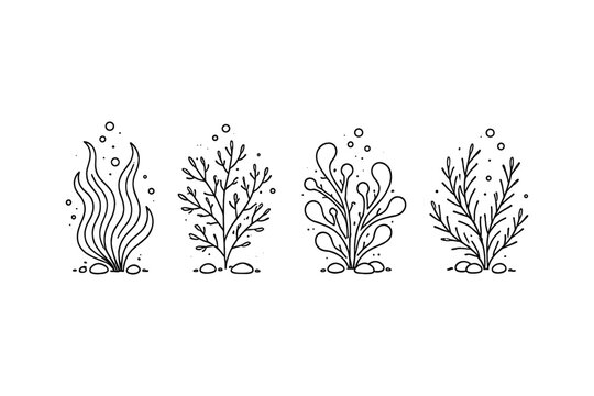 Algae Line Art Images – Browse 11,067 Stock Photos, Vectors, and Video ...
