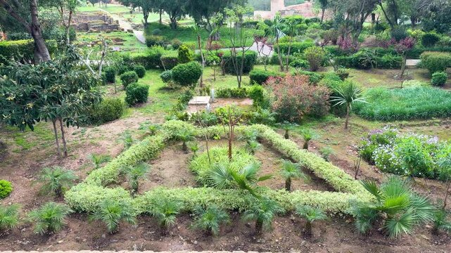 High-angle shot of the beautiful Chellah gardens and ancient ruins in Rabat. This historic site is the former Roman city of Sala Colonia located in Morocco. Various plants and decorative bushes.