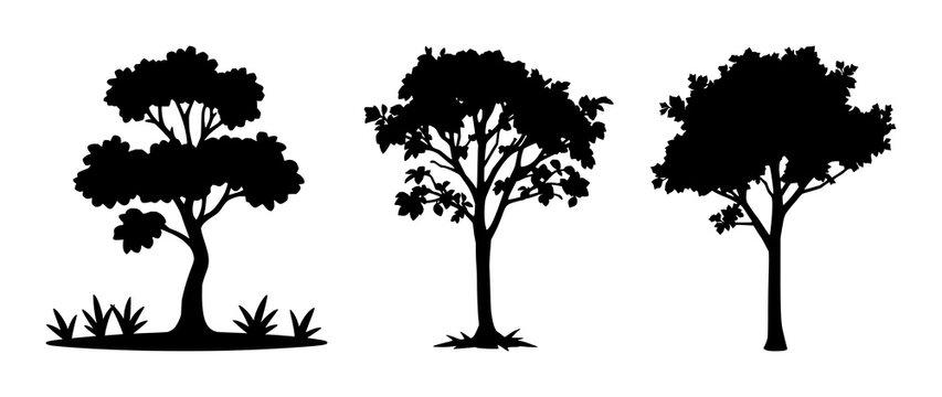 Garden tree icon set with solid black silhouette on white background featuring tree, leaves, trunk, foliage with minimalist line art and graphic design