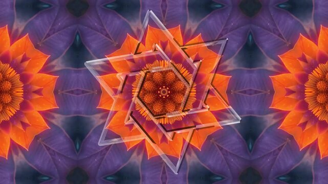 Seamless 4K60 loop. 3D chrome hexagram star over an evolving floral mandala fractal. Perfect for horizontal or vertical VJ visuals, meditation, and festivals.